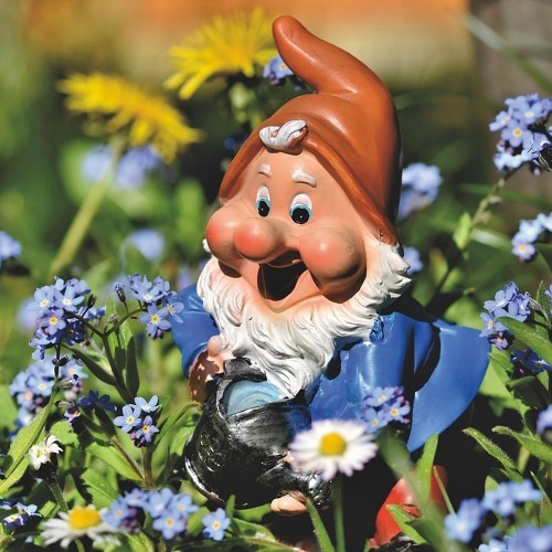 Endlich online: Der KGV Crocus bl&uuml;ht im Netz! 🌸